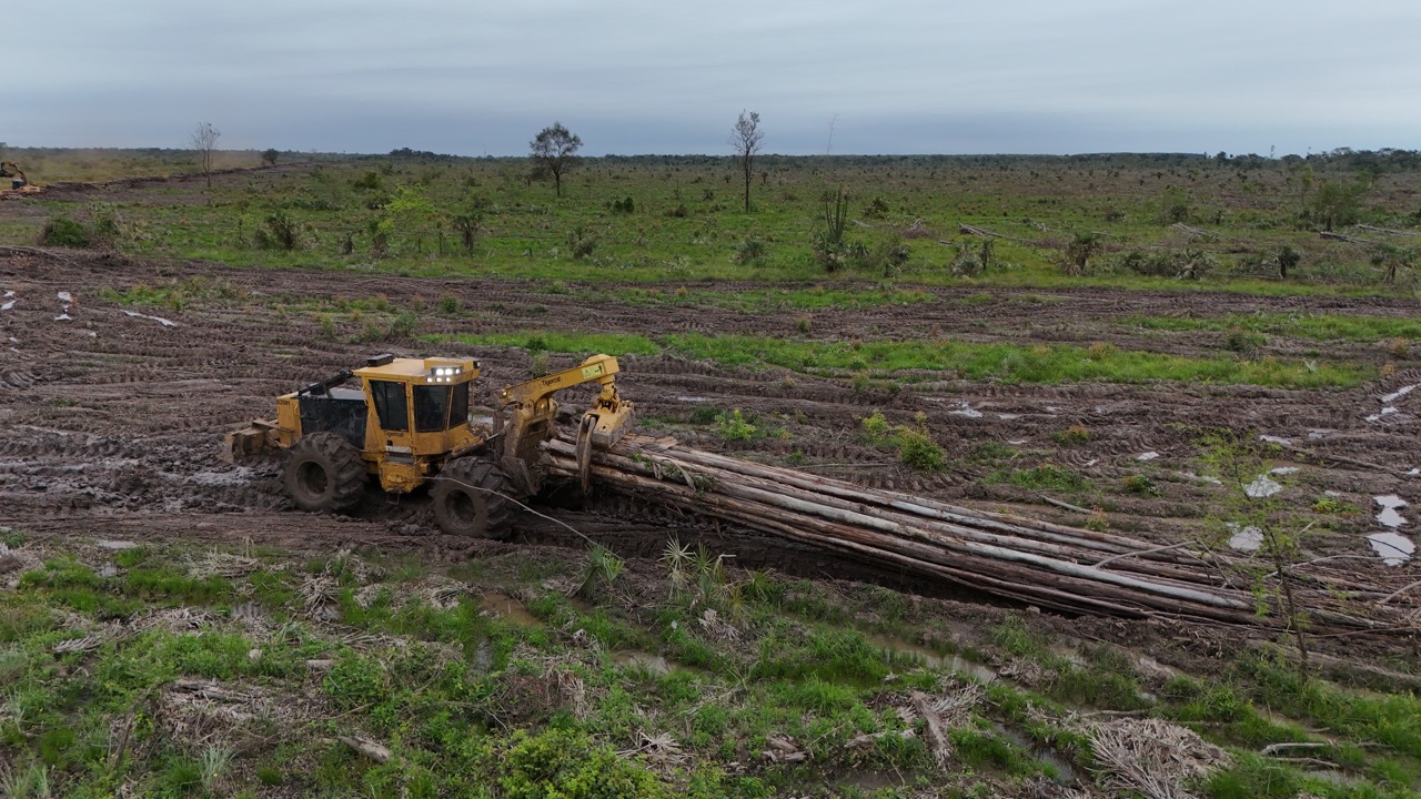 EFISA incorpora la primera Tigercat al mercado forestal paraguayo (14)
