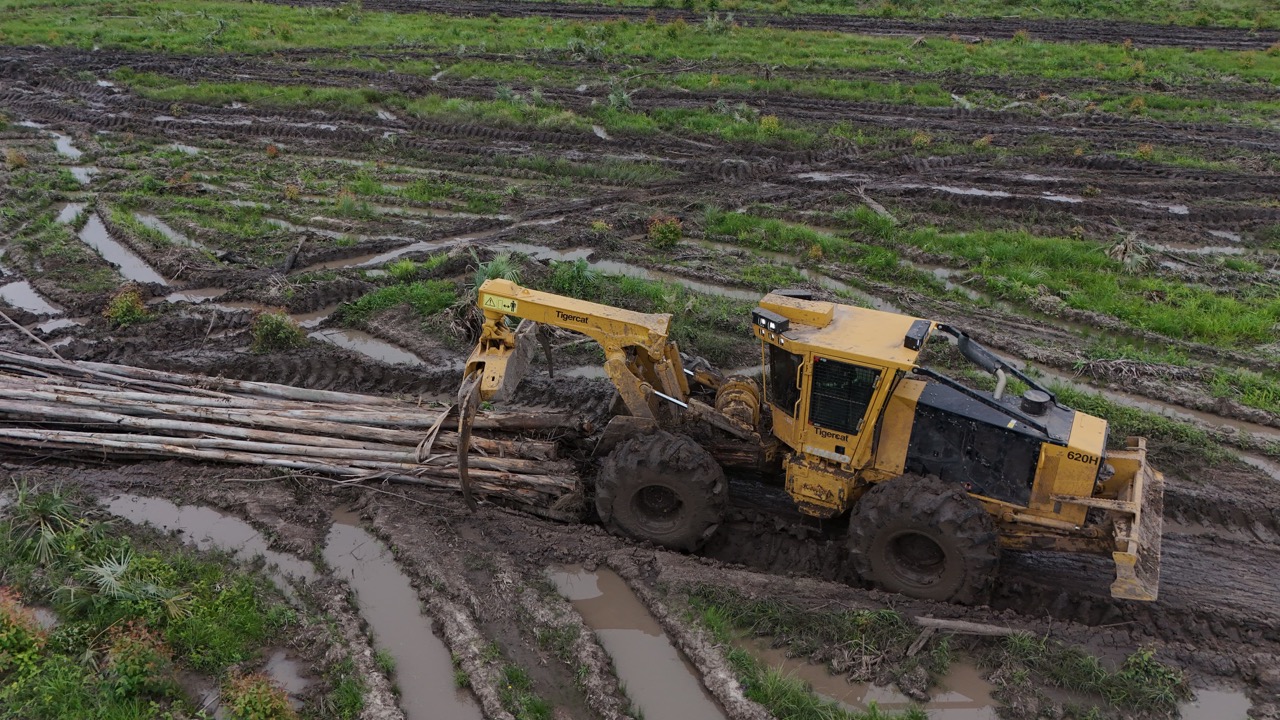 EFISA incorpora la primera Tigercat al mercado forestal paraguayo (19)
