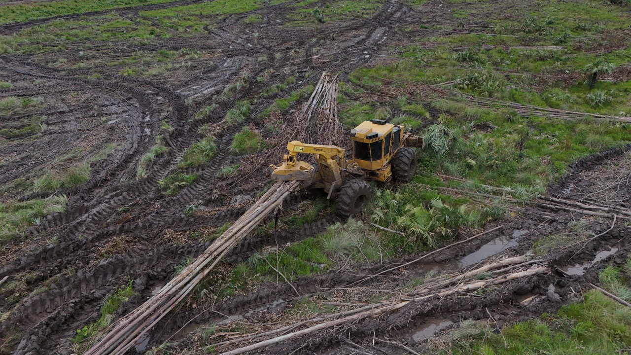 EFISA incorpora la primera Tigercat al mercado forestal paraguayo (5)