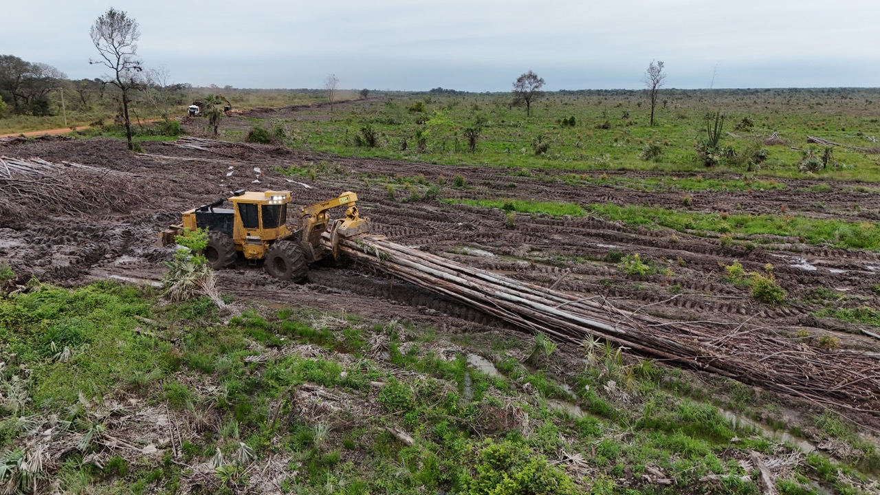 EFISA incorpora la primera Tigercat al mercado forestal paraguayo (9)